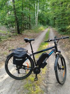 Rower elektryczny do 4000 zł? Pasebike C29 Pro 1000W – recenzja po 400 km [TEST 2025]