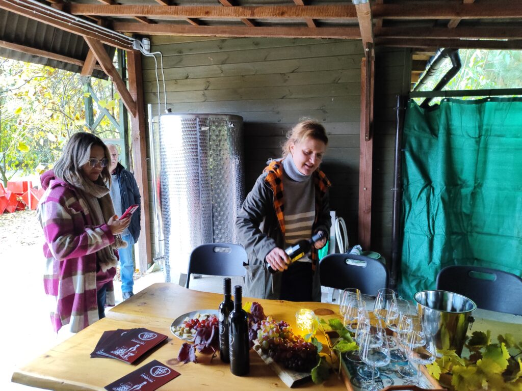 Winnica Enosfera - winorośl