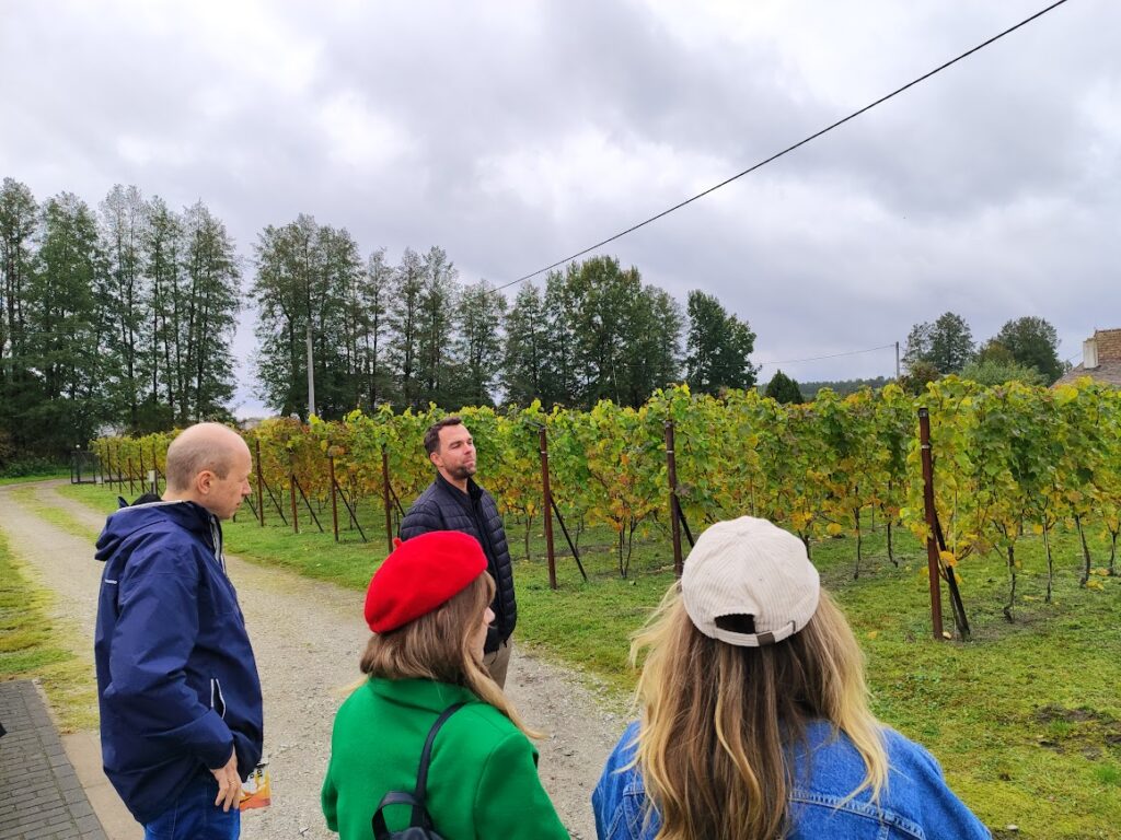 Winnica Tysiąca Sadzonek