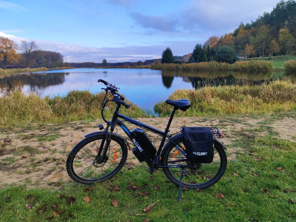 zdjęcie przedstawiające Pasebike C29 pro - przykład taniego roweru z baterią wyciąganą.