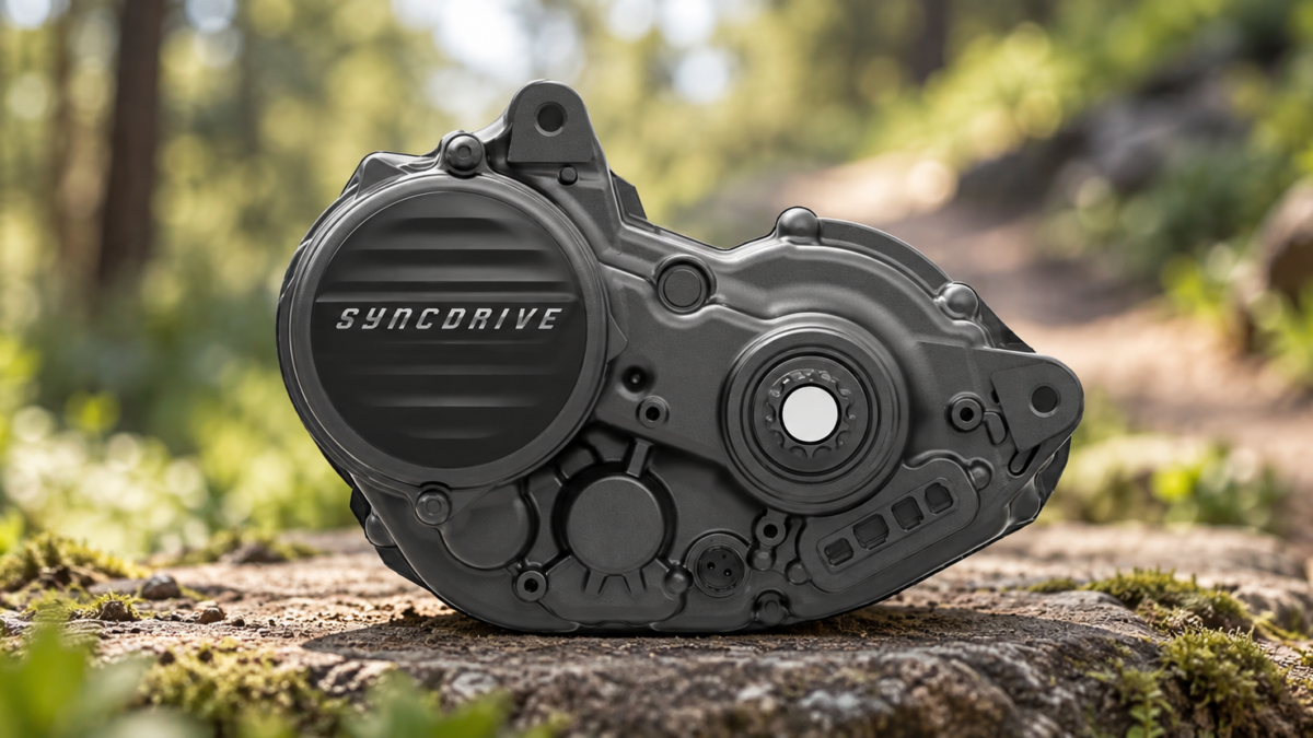 Silnik Giant SyncDrive