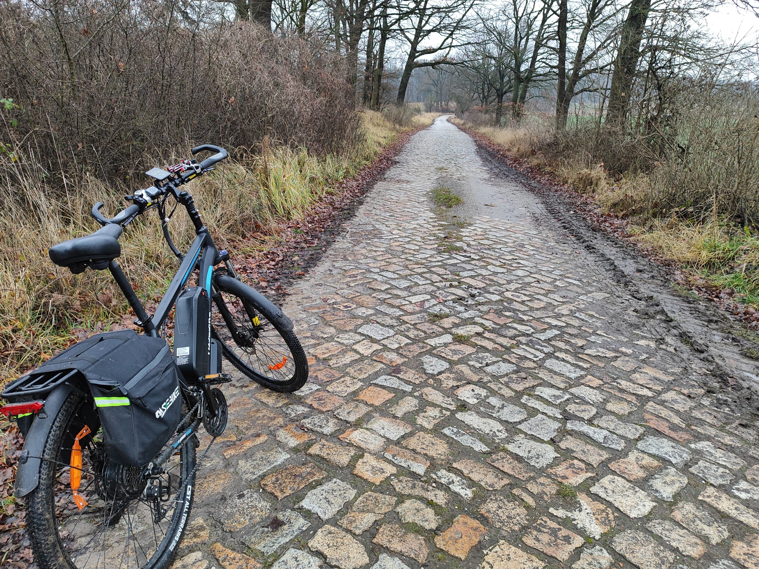 Pasebike C29 Pro rower elektryczny na starej drodze brukowej podczas jazdy terenowej