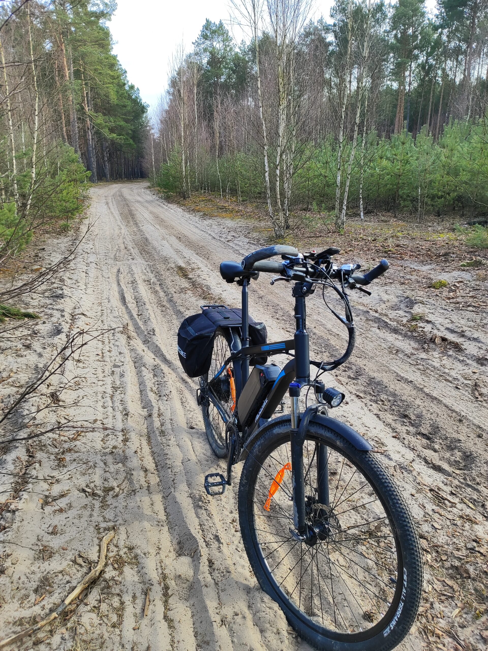 Pasebike C29 Pro rower elektryczny na piaszczystej leśnej drodze podczas jazdy terenowej