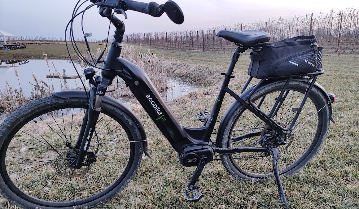 Ecobike D2 City Black – rower elektryczny trekkingowy podczas testu długoterminowego,