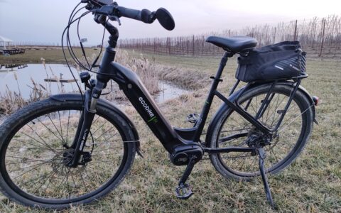 Ecobike D2 City Black – rower elektryczny trekkingowy podczas testu długoterminowego,