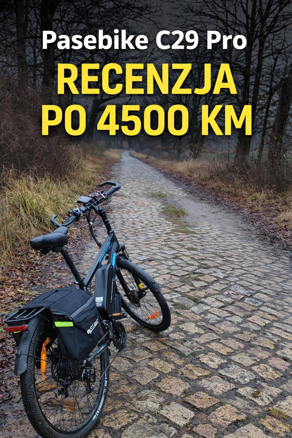 Pasebike C29 Pro na brukowanej drodze leśnej – recenzja po 4500 km, test e-bike’a w realnych warunkach, widok z trasy poza miastem