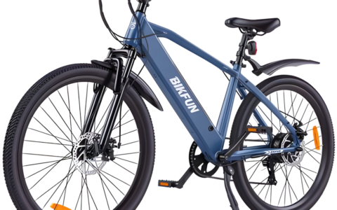 Rower elektryczny MTB Bikfun AMAK00054